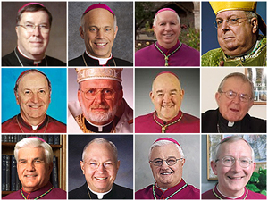 12 bishops appearing at Rallies